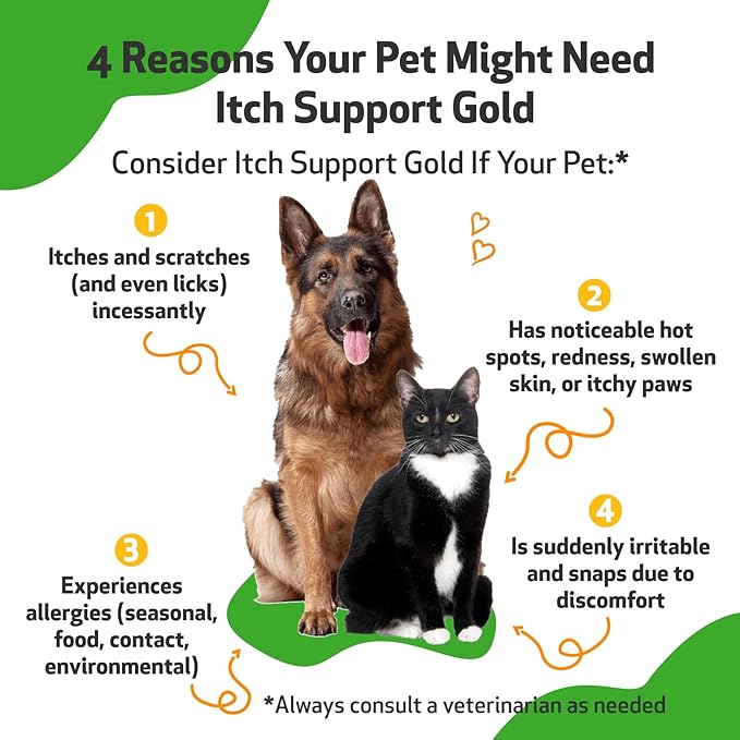 Pet Wellbeing Itch Support Gold for Dogs - Occasional Itching, Scratching, and Hot Spots, Environmental and Seasonal Allergies, Dong Quai - Veterinarian-Formulated Herbal Supplement (4 fl oz (118 ml))