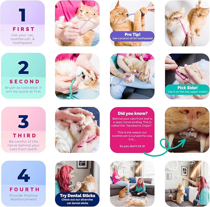 RYERCAT Set of 2 Dual Sided Cat Toothbrush - Kitten Toothbrush with Micro Head to fit into Cat/Kittens Mouth - Cat Dental Care Supplies - Pet Toothbrush for Cats(Lavender Purple & Ocean Blue)