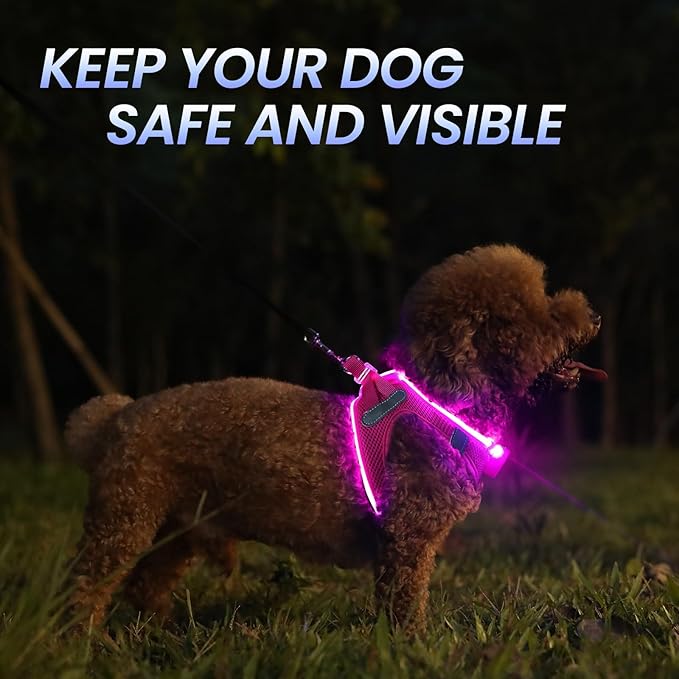 PceoTllar Light Up Dog Harness, LED No Pull Reflective Dog Harness, Flashing Lighted for Night Walking - Small/Medium, (Pink,S)