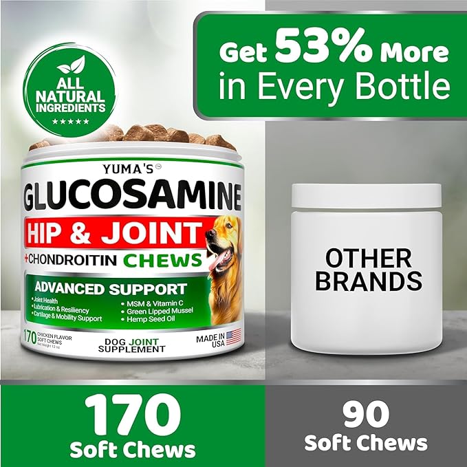 YUMA'S (2 Pack) Glucosamine for Dogs - Hip and Joint Supplement for Dogs - Glucosamine Chondroitin Chews - Joint Pain Relief Supplement with MSM - Advanced Health - Mobility Support - Made in USA