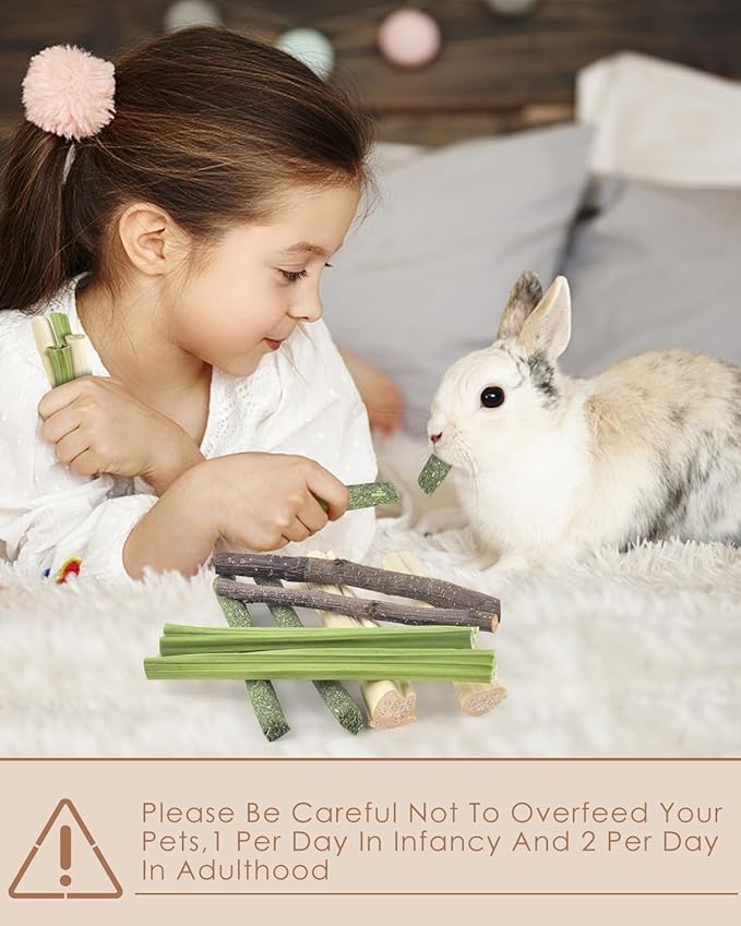 Bissap 60 PCS Rabbit Chew Sticks, Sweet Bamboo Timothy Hay Chew Stick Papaya Stems Apple Branch Bunny Chews for Rabbit Hamster Chinchilla Guinea Pig Small Pet Natural Molar Treats