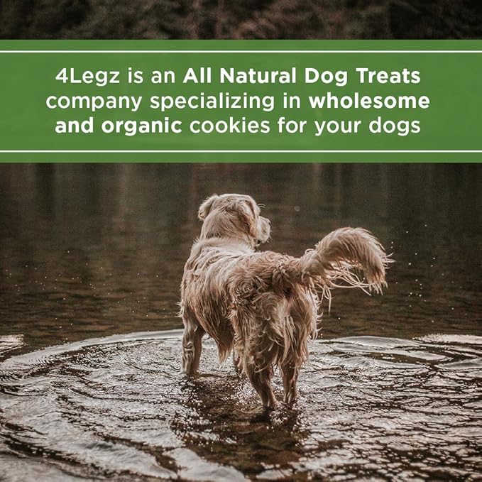 Organic Peanut Butter & Molasses Dog Treats – Healthy, Crunchy, Vegan Biscuits with Whole & Real Ingredients – All Natural & USA‐Baked, 4 Pound Bag