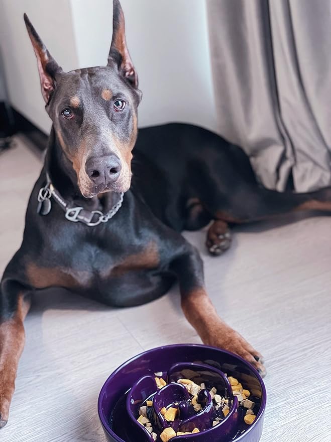 LE TAUCI Slow Feeder Dog Bowls Ceramic, 3 Cups Slow Feeding Dog Bowl Medium Large Breed, Pet Bowl for Fast Eaters, Puzzle Pet Dishes, Maze Purple