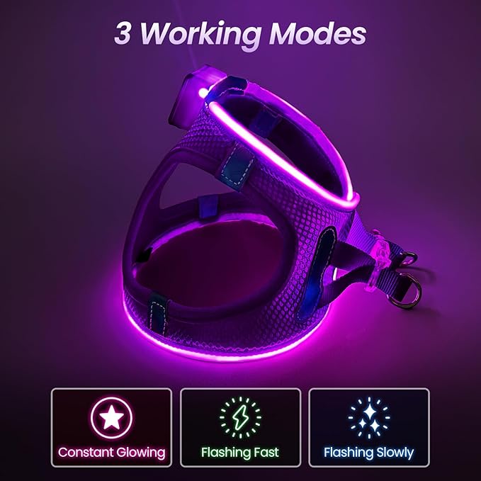 PceoTllar Light Up Dog Harness, LED No Pull Reflective Dog Harness, Flashing Lighted for Night Walking - Small/Medium, (Purple,M)