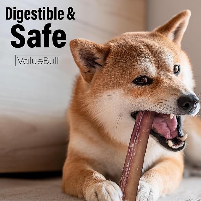 ValueBull Bully Sticks for Dogs, Thick 6 Inch, 100 Count Bulk Pack - All Natural, Grass Fed, Single Ingredient, Long Lasting Dog Treats