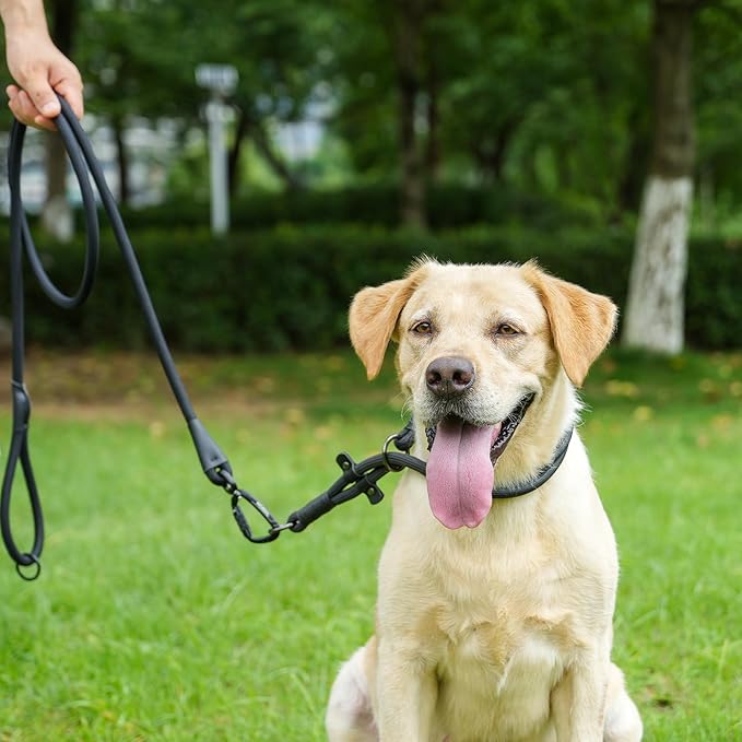 Rope Dog Leash, 6 Foot Heavy Duty Dog Leash with Aviation Aluminum Auto Locking Carabiner, Strong Nylon Pet Lead for Small, Medium, Large Dogs (Green, 6FT)