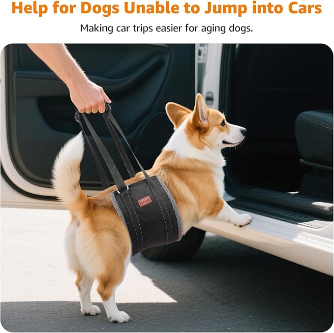 LOOBANI Portable Dog Sling for Back Legs, Hip Support Harness to Help Lift Dogs Rear for Canine Aid and Old K9 Cruciate Ligament Rehabilitation