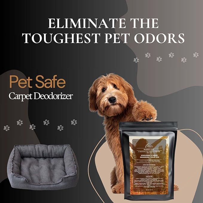 Blissful Day Carpet Freshener Powder Refill 36 oz | Powerful Odor Eliminator for Home | Upholstery Deodorizer | Carpet Deodorizer | Pet Urine | Cat Litter Box | Beautiful Day Fragrance