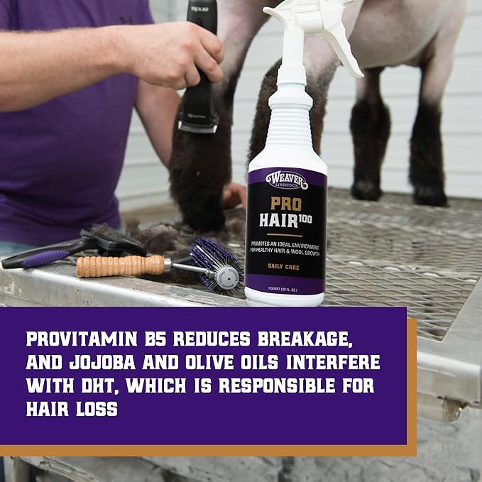 Weaver Leather Livestock Winner's Brand Pro Hair100 Shampoo, 1 Gallon