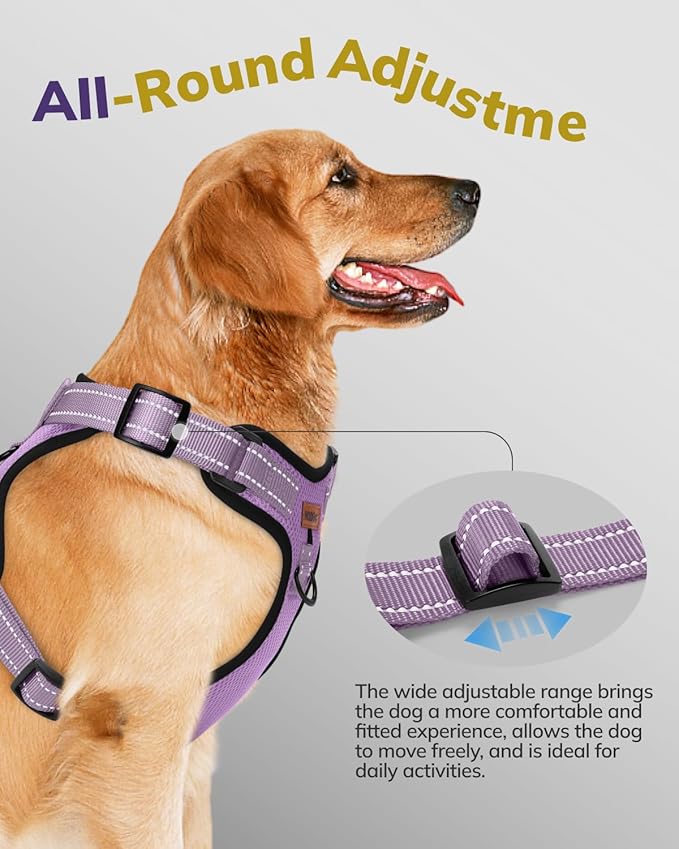 MIDOG No-Pull Dog Harness | Adjustable & Reflective Pet Harness Leash Set for Small Medium Large Dogs Walking, Training| No Choke, Front Clip, Soft Padded Vest with Easy Control Handle - Purple, L