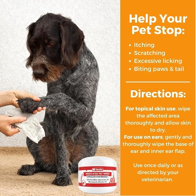 Nootie Medicated Dog Wipes - Antifungal Wipes - Antibacterial Wipes - Antimicrobial Wipes for Dogs 2% Chlorhexidine Wipes with 2% Micronazole for Best Results with Cats and Dogs Problems 60 pads - USA, White