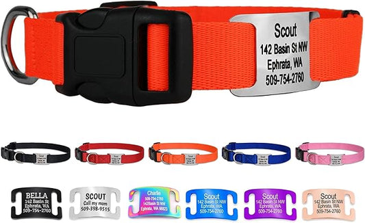 GoTags Personalized Dog Collar with Nameplate, Adjustable Dog Collar with Custom Engraved Slide On Pet ID Tag in Stainless Steel, Silent, No Noise Dog Tag for Large Medium and Small (Orange, Large)