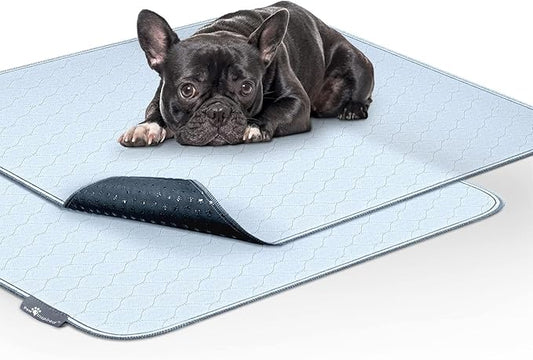 Paw Inspired Washable Pee Pads for Dogs (2 Pack), Leakproof, Non-Slip Reusable Puppy Pads for Potty Training, Whelping, Waterproof Mat (34x36 Inch, Pack of 2)