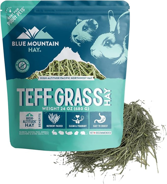 Blue Mountain Hay | Fresh Teff Grass Hay (24 Ounce) | Low NSC, High Fiber, Healthy Weight Management | High-Altitude Hay Pet Food for Rabbits, Guinea Pigs, Chinchillas, Hamsters, and Other Small Pets