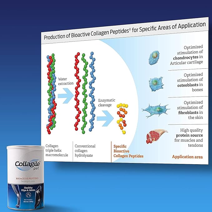 COLLAGILE® pet - Dog Hip & Joint Care | Effective Powder Supplement | Clinically Tested by Vets | 100% Natural | Tasteless and Odorless