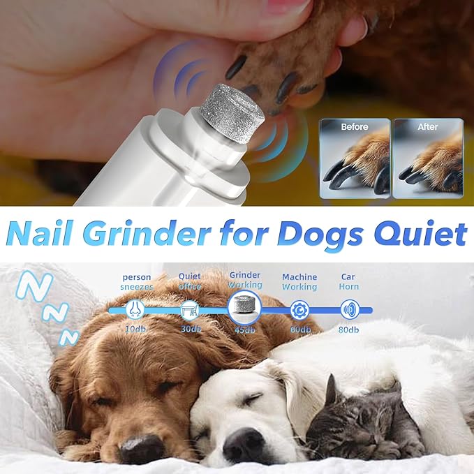 2 in 1 Dog Nail Clippers and Grinder with Lights & Cat Nail Clipper for Large Medium Small Dogs Cats Nail Trimmers USB Rechargeable with 2 LED Lights Dog Claw Care for Non-Black Nails