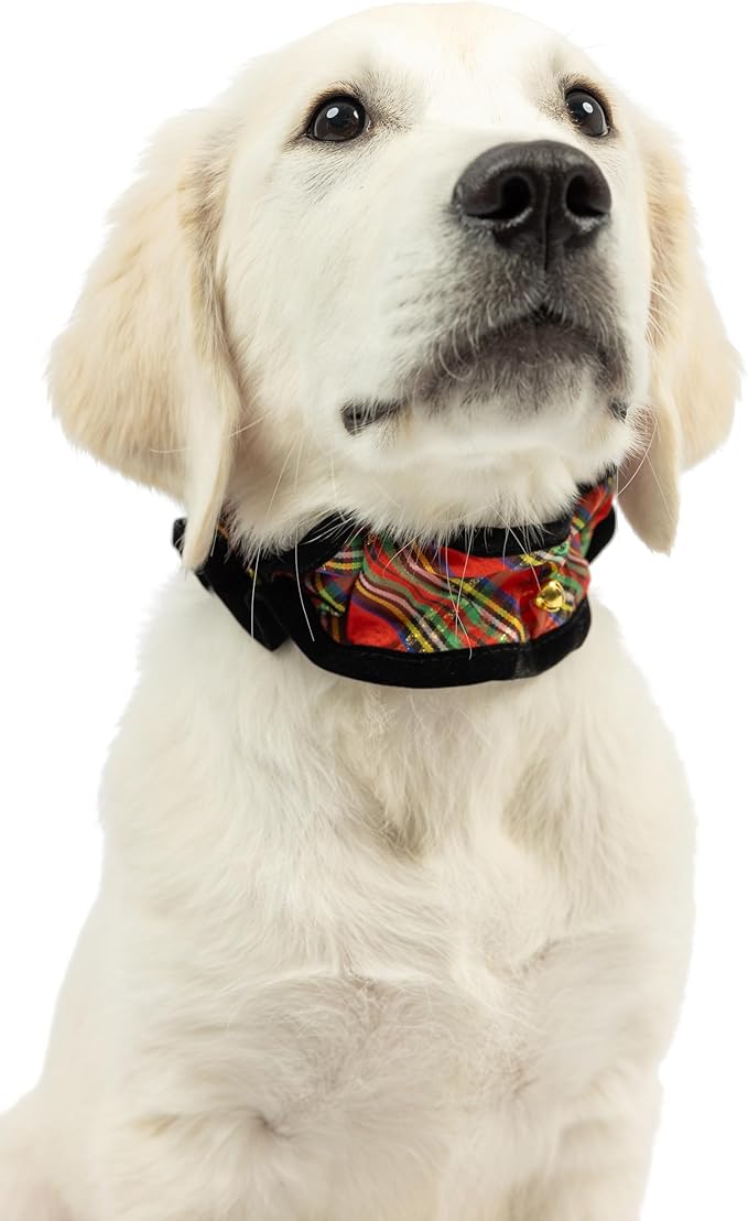 Huxley & Kent Ruff Pet Scrunchy | Shiny Christmas Plaid (Medium) | Festive Christmas/Holiday Neckwear for Dogs/Cats | Fun Stretchable Costume Accessory | Soft Collar with Bells