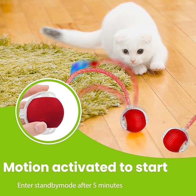 Cat Toy, Interactive Cat Toy, Cat Toys for Indoor Cats with 2 Tails, 3 Modes Rechargeable Cat Enrichment Toys for Small/Medium/Large Cats to Keep Them Busy