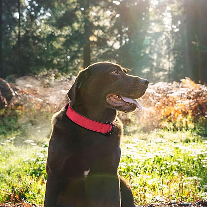 Didog Soft Padded PU Leather Dog Collar, Breathable and Adjustable Red Dog Collars for Small Dogs, Comfortable for Daily Walk, Red, M Fit Neck 12-15"(13-22 lbs)