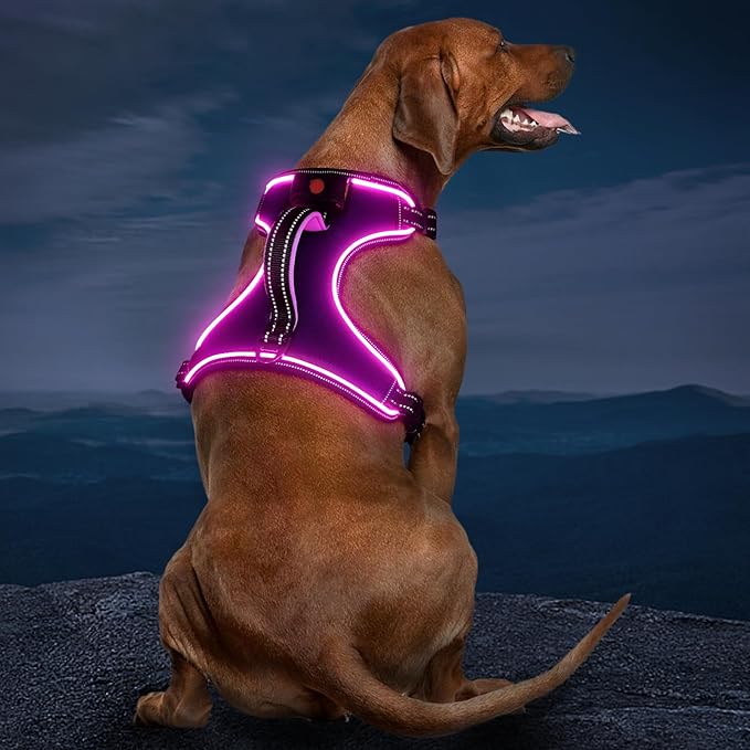 Light Up Dog Harness, No Pull LED Dog Harness with Handle, Rechargeable Lighted Safety Vest for Small Medium Large Dogs, Adjustable Soft Dog Lights for Night Walking