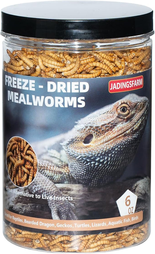 Freeze Dried Mealworms 6 Oz - High Protein Pet Food for Reptiles, Bearded Dragons, Birds & Hedgehogs - Nutrient-Packed Treat for Lizards, Geckos, Turtles, Chickens