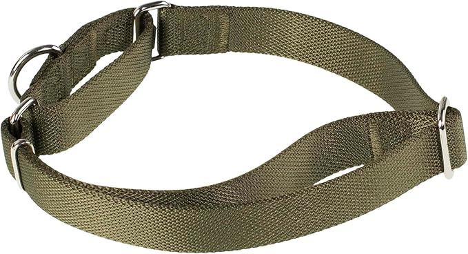 Hyhug Pets Premium Upgraded Heavy Duty Nylon Anti-Escape Martingale Collar for Boy and Girl Dogs Comfy and Safe - Professional Training, Daily Use Walking. (Army Green, Medium)