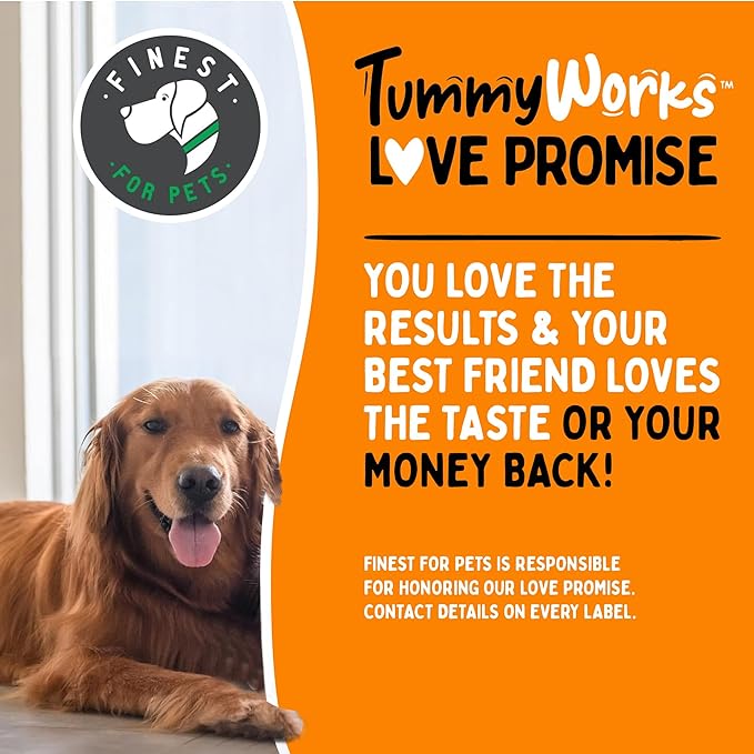 TummyWorks Probiotic 120 Soft Chews for Dogs All Ages - Supports Digestive Health, Relieves Diarrhea, Constipation, Good for Itching, Allergies, Yeast Infections. Added Digestive Enzymes, Made in USA