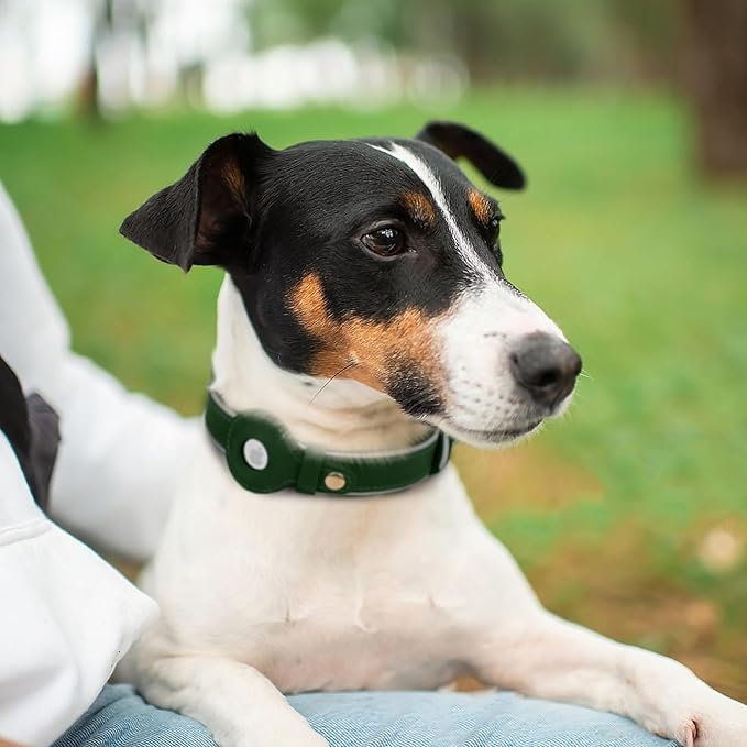 OOPSDOGGY Reflective Geniune Leather Airtag Dog Collar Soft Padded Collars for Small Medium Large Breed Dogs Puppy, 4 Sizes, 7 Colors (Green, XLarge, 19"-24")