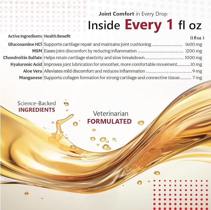 Liquid for Dogs - Vitamins, Minerals, Antioxidants - Glucosamine, Chondroitin - Beef Flavor - Maximum Joint Health Supplement for Dogs - 32 fl oz