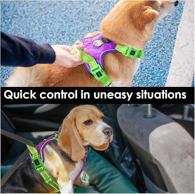 PHOEPET No Pull Dog Harness, Unique Colors Reflective Adjustable Dog Vest, with Soft Training Handle Metal Clips for Small Medium Large Dogs (Purple Base & Green Straps,M)