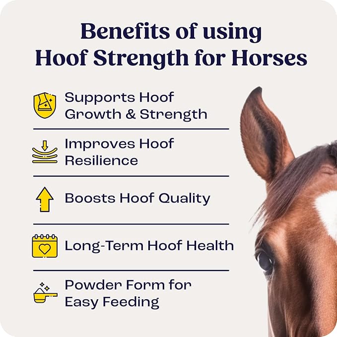 Summit Equine Hoof Strength Powder for Horses, Promotes Healthy Hooves with Biotin, Amino Acids, and Minerals, Horse Hoof Supplement,11 oz, 30-Day Supply