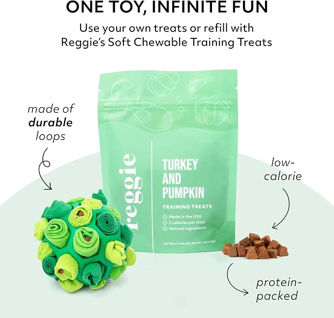 Reggie Forager Ball for Dogs | Mealtime Enrichment Toy | Reduces Boredom, Hyperactivity, Stress | Vet-Approved & Ideal for All Ages, Breeds, and Sizes (Forager Ball - Turkey & Pumpkin)