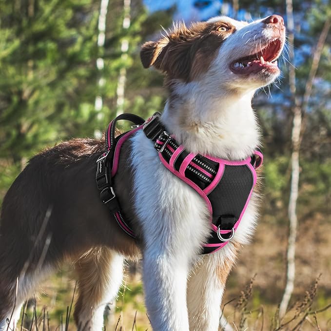 rabbitgoo Dog Harness Medium Sized, No Pull Dog Vest with 3 Buckles, Adjustable Soft Padded Pet Harness with Easy Control Handle and Reflective Strips, Black & Rose Pink, M