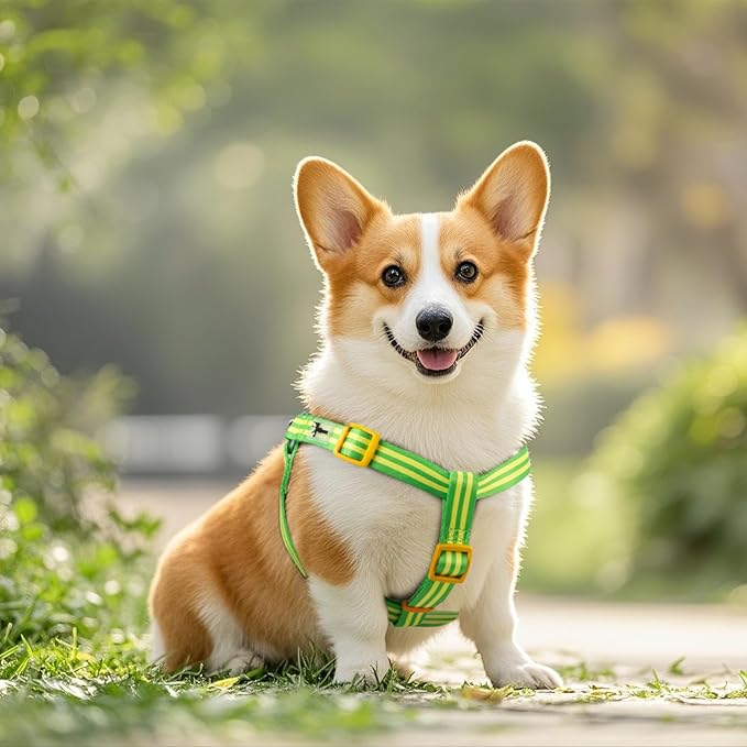 Stripe Step in Dog Harness for Small Dogs, Freedom Nylon Dog Halter Vests, Lightweight and Escape Proof Puppy Harness, Quick Fits for Small Medium and Large Dogs, Green L
