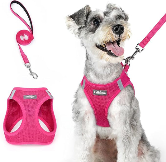 rabbitgoo Dog Harness Small Medium Sized and Leash Set, Step in Soft Light Puppy Vest, Breathable Mesh Pet Harness, Reflective for Safe Easy Walking, Rosa Red XL