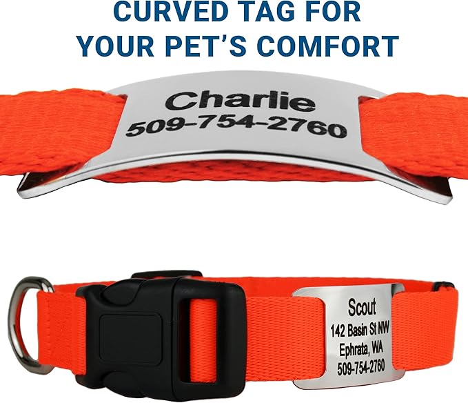 GoTags Personalized Dog Collar with Nameplate, Adjustable Dog Collar with Custom Engraved Slide On Pet ID Tag in Stainless Steel, Silent, No Noise Dog Tag for Large Medium and Small (Orange, X-Small)