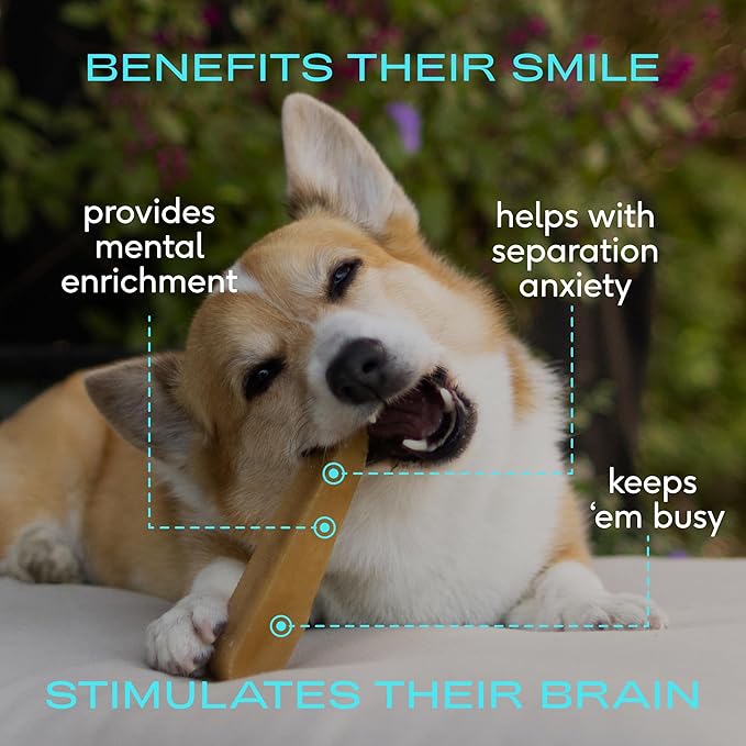 Native Pet Yak Cheese Himalayan Dog Chews XLarge - Long Lasting Dental Sticks for Extra Large Breeds – 100% All Natural Himalayan Yak Chews – Cheese Bone for Aggressive Chewers - 3 Per Pack