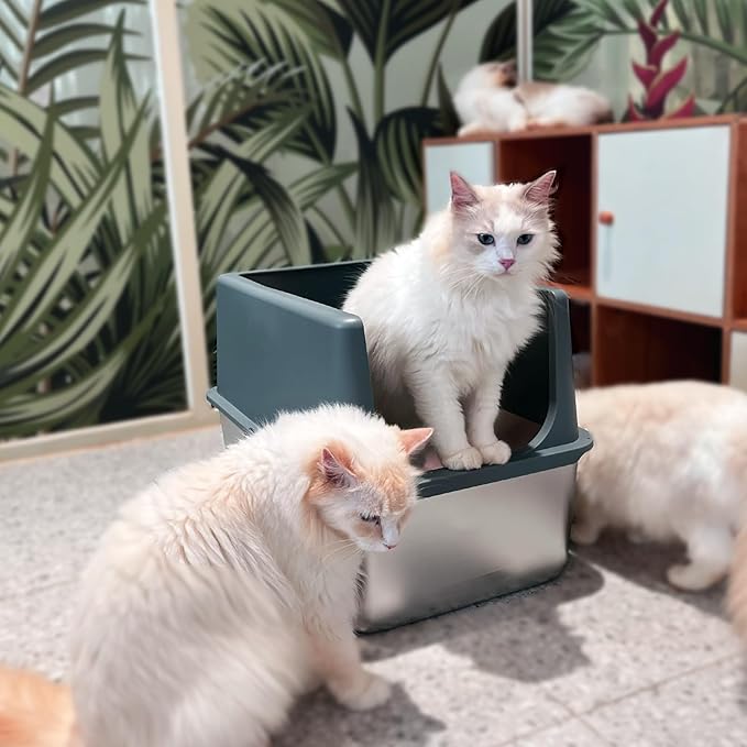 LIHONG Stainless Steel Litter Box with Lid, XL Metal Cat Box for Indoor Cats, Enclosure Cat Litter Pan for Large Cats, Non-Sticky Large Kitty Litter Box, Anti-Leakage, 23.5" X 15.5" X 16"