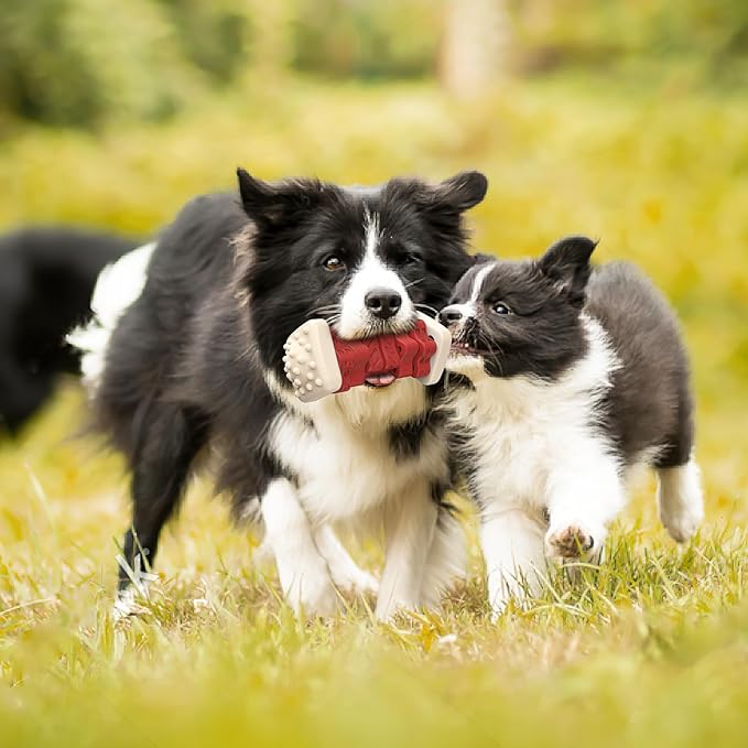 PcEoTllar Dog Toys for Aggressive Chewers, Indestructible Dog Chew Toys, Safe Rubber, for Large Medium Small Dogs - Red -M