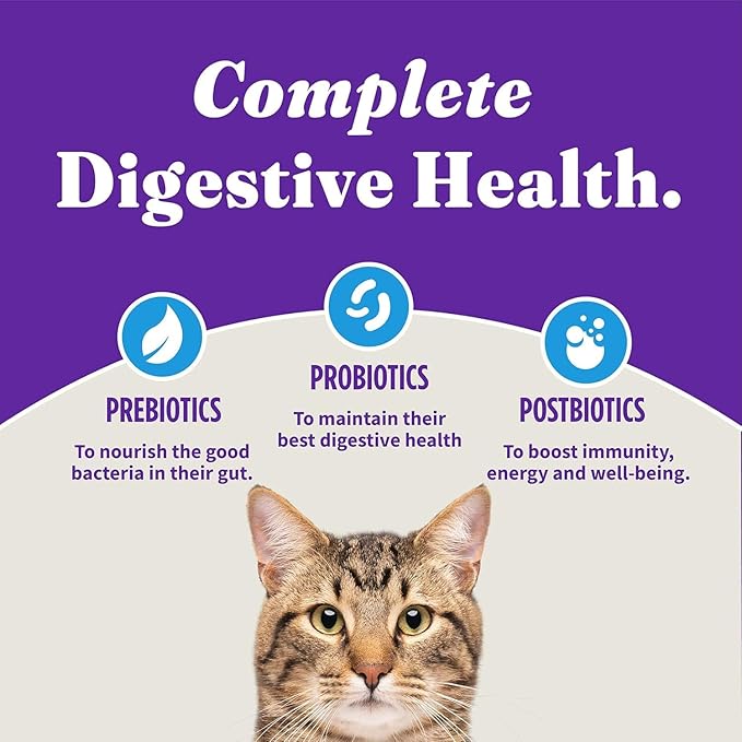 Halo Holistic Cat Food Wild Caught Salmon & Whitefish Formula, Healthy Grains Dry Cat Food, For Sensitive Stomach Support, Kibble for Adult Cats, 10 lb Bag