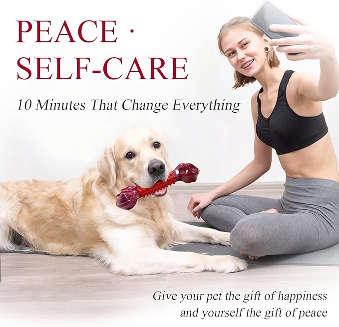 Apasiri Tough Dog Toys for Aggressive Chewers Beef Flavor: 8" Dog Chew Bone for Large Breed, Nylon & Rubber Chew Toy for Medium Large Dogs