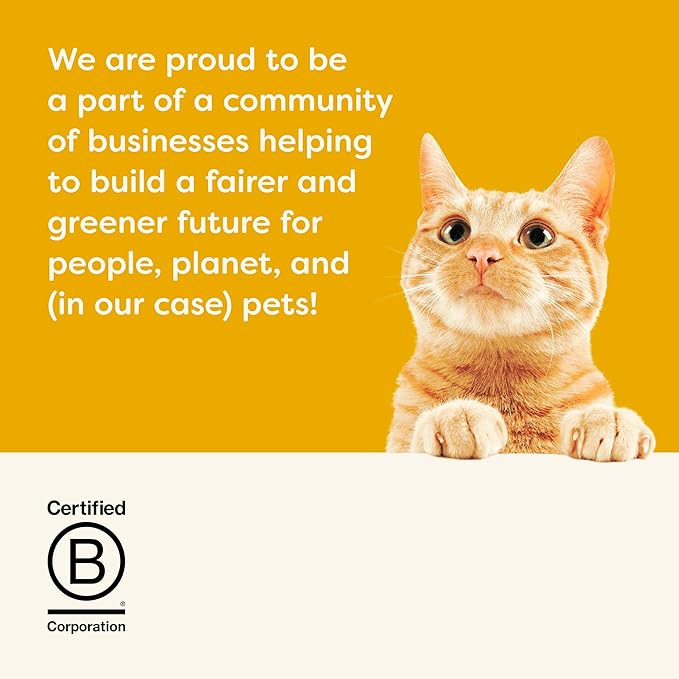 Applaws Natural Wet Cat Food, 8 Count, Limited Ingredient Cat Food Pots, Chicken Variety Count in Broth, 2.12oz Pots