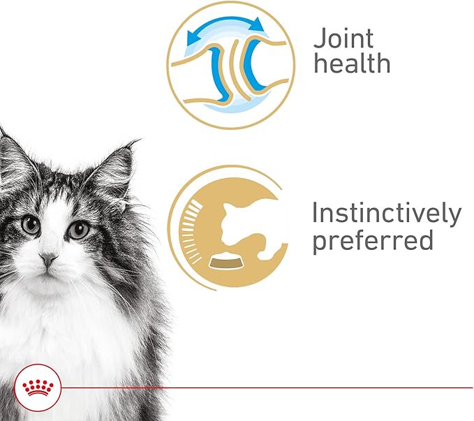 Royal Canin Feline Health Nutrition Aging 12+ Thin Slices In Gravy Canned Cat Food, 3 oz Can (24-count)