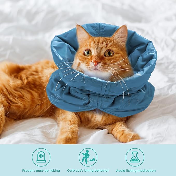 Cat Recovery Collar, Soft Adjustable Cat Cone Alternative, Lightweight Waterproof Fasteners Collars for Cats Kittens Puppies, After Surgery Stop Licking and Daily Use (Lake Blue, M(Neck7.9-13.8"))