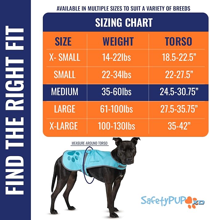Dog Reflective Vest – Hi-Vis Fluorescent Visibility That Helps to Safeguard Your Pet On/Off Leash in Urban & Rural Areas (Teal, Medium)