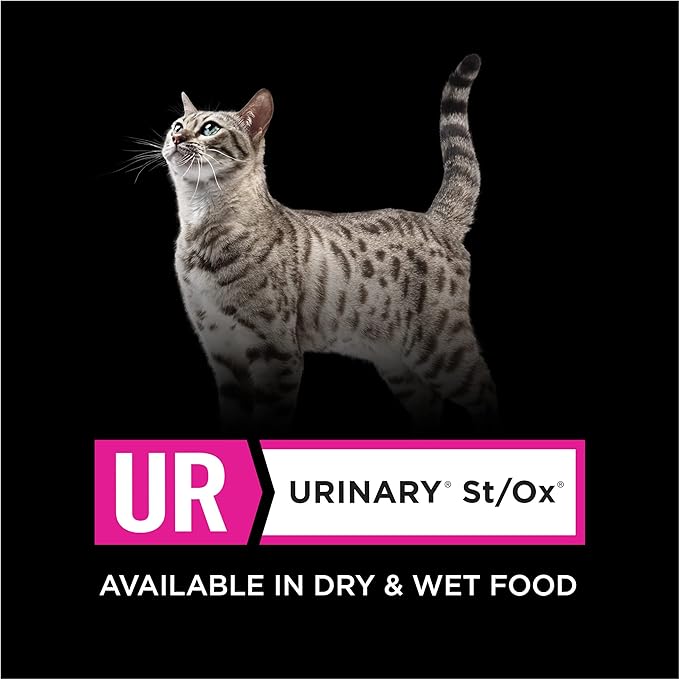 Purina Pro Plan Veterinary Diets UR Urinary St/Ox Feline Formula Dry Cat Food - 6 lb. Bag