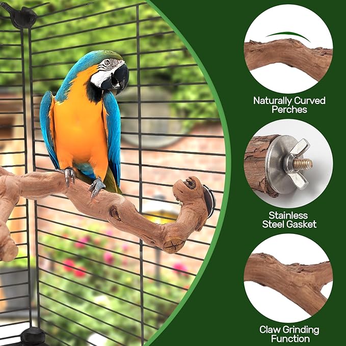 4-Piece Bird Perch Set with Rotating Ball Stand - Natural Wood Bird Gym & Playground for Parrots, Cockatiels, Budgies