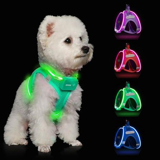 Light Up Dog Harness,Rechargeable LED Dog Harness for Small Medium Large Dogs,Reflective Lighted Safety Vest for Night Walking & Camping,Lightweight & Adjustable,Light Green,M