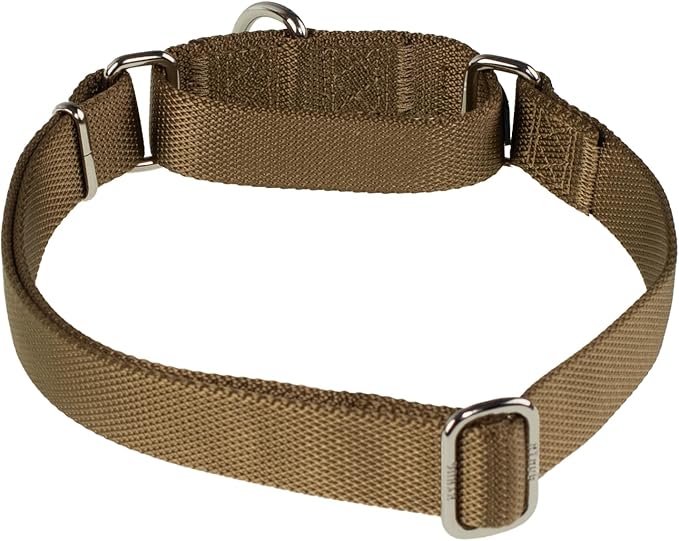 Hyhug Pets Premium Upgraded Heavy Duty Nylon Anti-Escape Martingale Collar for Boy and Girl Dogs Comfy and Safe - Professional Training, Daily Use Walking. (Army Yellow, Medium)