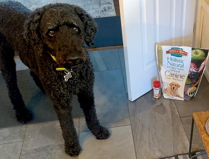 Bench & Field Holistic Natural Adult Dry Dog Food, Chicken Meal and Brown Rice Recipe 12 lb Bag (Pack of 2)